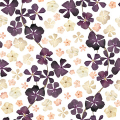 Dry flowers seamless pattern Spring pressed flowers print Summer floral composition isolated on white Botanical ornament