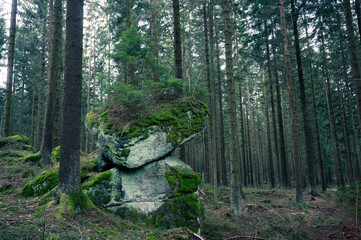 Obraz premium Mantisstein im Waldviertel