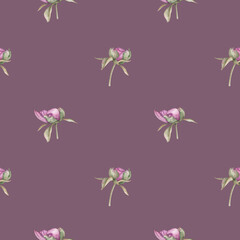 Seamless pattern with buds of pink peonies on dark purple background. Hand drawn watercolor botanical print in vintage style for fabrics, wallpaper, scrapbooking, postcards.