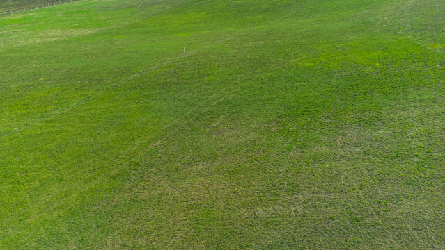 Pastures on the road to the mountains green alpine meadows. Shooting from a quadcopter. View from above. Drone photography.
