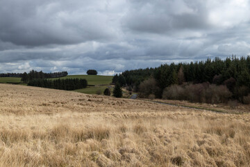 Obraz premium landscape with clouds