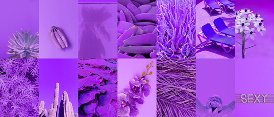 Set of trendy aesthetic photo collages. Minimalistic images of one top color. Purple moodboard