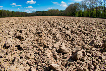 Trockener Boden im Emsland
Dry ground in spring