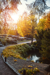 Autumn forest with yellow leaves on trees and paved stones walkway with in the fall park. Scenic autumn landscape.