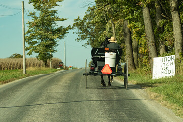 Obraz premium Amish Man Driving His Horse and Buggy on a Back Road in Ohio's Amish Country