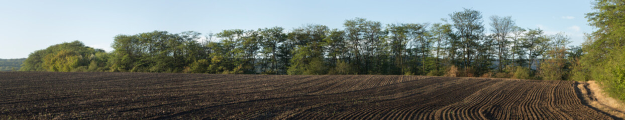 Agricultural lands are plowed, and prepared for vegetation.
