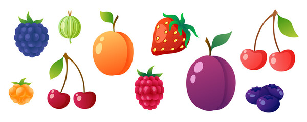 Set of berries illustrations: blackberry, cloudberry, cherry, gooseberry, raspberry, apricot, strawberry, plum, cherry, blueberries. Vector realistic illustration