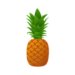 Pineapple fruit. Summer fruits for healthy lifestyle. Cartoon style vector illustration.
