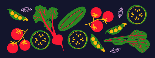 Cute appetizing Vegetables collection. Decorative abstract horizontal banner with colorful doodles. Hand-drawn modern illustrations with Vegetables, abstract elements. Abstract tomato, peas, greens