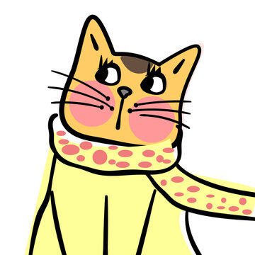 square face cat
