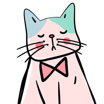 square face cat

