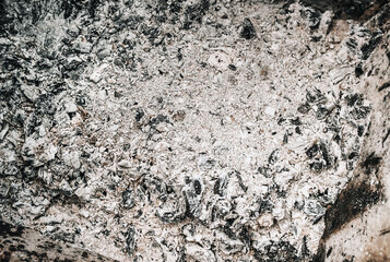 Background, close-up texture of burnt ash after burning firewood, wood.