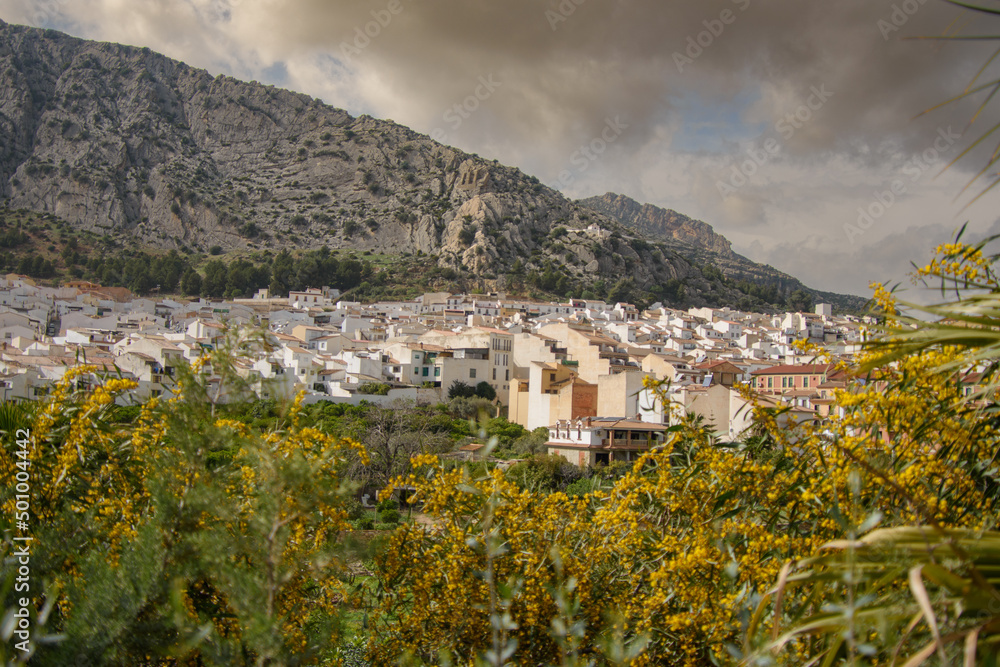 Wall mural view of the old town of alora in andalusia, spain