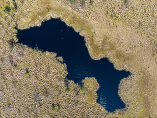 Aerial top view of National Park Swamp called Jacek near Warsaw, Poland, Europe