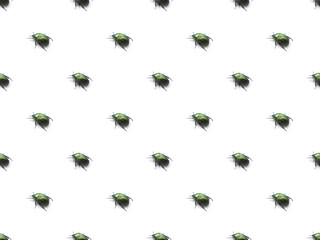 beetle bronze pattern on a white background