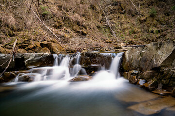 Fototapeta premium Mountain stream in spring in the stony forest. Beautiful river flowing by the forest during the Spring. Carpathian, Ukraine spring forest creek