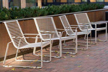 Outdoor gardening image for residential apartment building concept. Empty metal chairs in city courtyard with with thuja bushes at autumn