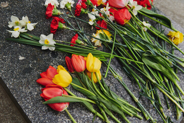 Different flowers on the granite monument in the park. Tulips and carnations on Victory day. Ninth...