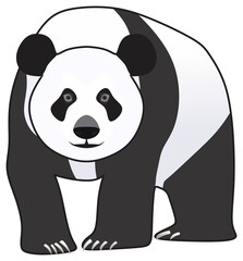 cartoon panda character vector drawing on isolated white background face with black spots eyes bear logo sign symbol icon concept cute happy comic pose mammal animal wildlife recognition at a glance