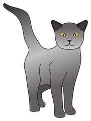 kitty grey shorthair british cat vector drawing on isolated white background cute comic mammal animal character pet pose love concept logo sign icon symbol illustration gray funny happy face kitten