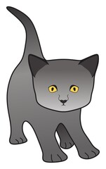 kitty grey shorthair british cat vector drawing on isolated white background cute comic mammal animal character pet pose love concept logo sign icon symbol illustration gray funny happy face kitten