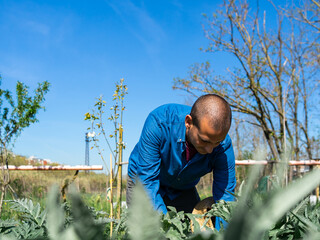 young farmer look for vegetables from his garden