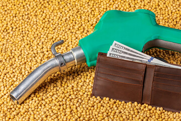Diesel fuel nozzle, soybeans and cash money in wallet. Biodiesel, biofuel, agriculture and...