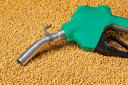 Diesel fuel nozzle and soybeans. Biodiesel, biofuel, agriculture and renewable clean energy concept. 