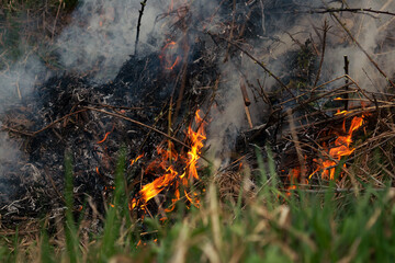 Burning old dry grass in the garden. Seasonal work, preparing the land for the spring season.
