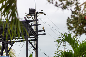 electrical power station