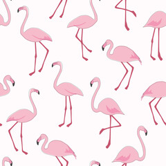 Seamless pattern with flamingo birds. Vector graphics.