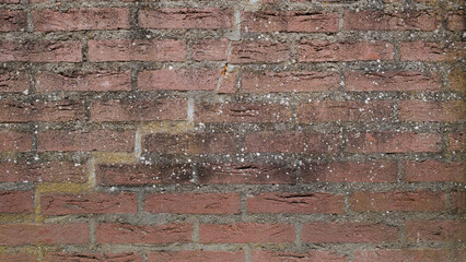 old brick wall