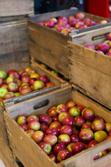 Apples in a Box