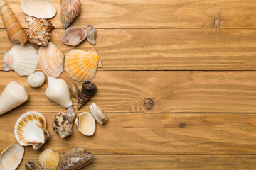 Fototapeta na wymiar Sea shells on wooden background, top view. Summer concept