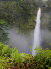 Fototapeta na wymiar Akaka Falls