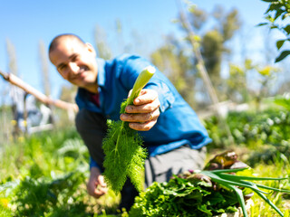 happy farmer take a vegetable on hands from his vegetable garden in the city