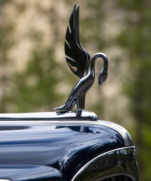 Packard Cormorant Hood Ornament