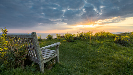 bench in the field