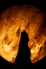 Lupo ulula alla luna gialla
