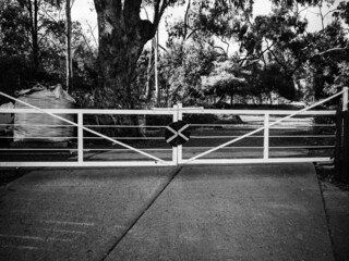 Gate with a cross