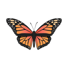 Fototapeta na wymiar Monarch Butterfly, Butterfly Icon, Butterfly Set, Butterfly Vector, Wildlife Animals, Vector Illustration Background