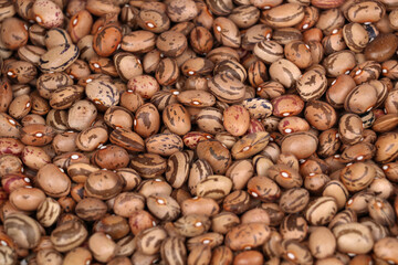Kidney beans grown with organic fertilizer produced by villagers in Turkey. background