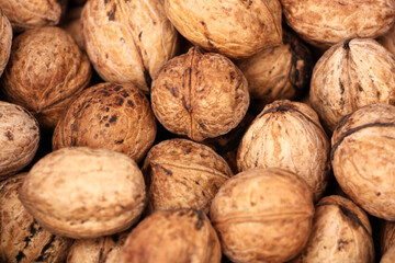 Walnut grown with organic fertilizer produced by villagers in Turkey. background
