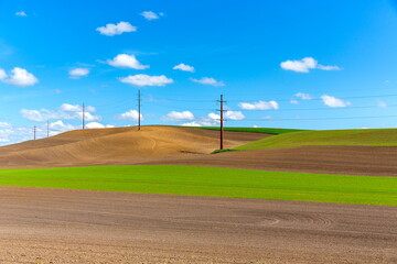 Palouse Rolling hills in Spring