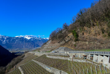 Fototapeta na wymiar Weinbau in Aigle, Kanton Waadt / Schweiz