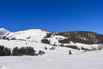 Obraz premium Wintersportort Les Mosses auf dem Passübergang des Col des Mosses / Ormont-Dessous, Kanton Waadt, Schweiz