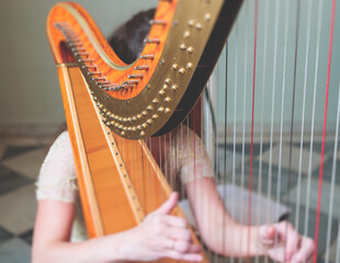 Female musician harpist playing wooden harp  during symphonic concert on a stage, with other...