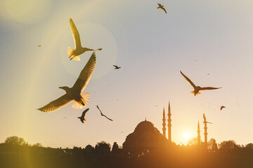 A lot of seagulls are flying over Istanbul minarets and mosques silhouettes.
