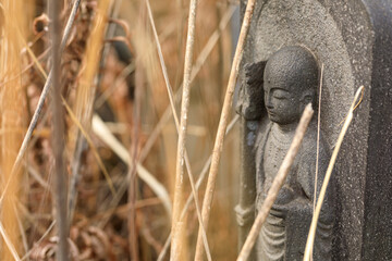 跡継ぎがいない雑草におおわれた墓の地蔵