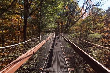 suspension bridge in autumn